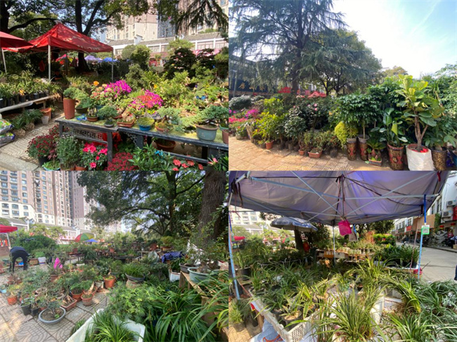 老子有钱lzyq88(中国)有限公司