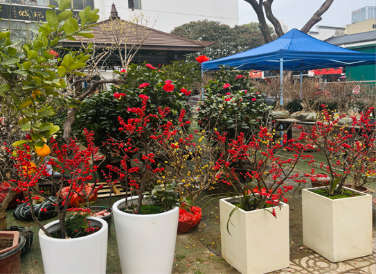 老子有钱lzyq88(中国)有限公司